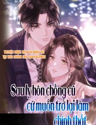 Sau Ly Hôn Chồng Cũ Cứ Muốn Trở Lại Làm Chính Thất đọc online
